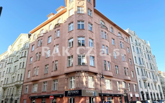 foto Prostorný byt 2+1 s velkou centrální halou a balkonem, 95 m2, Praha 1, ul. Bílkova